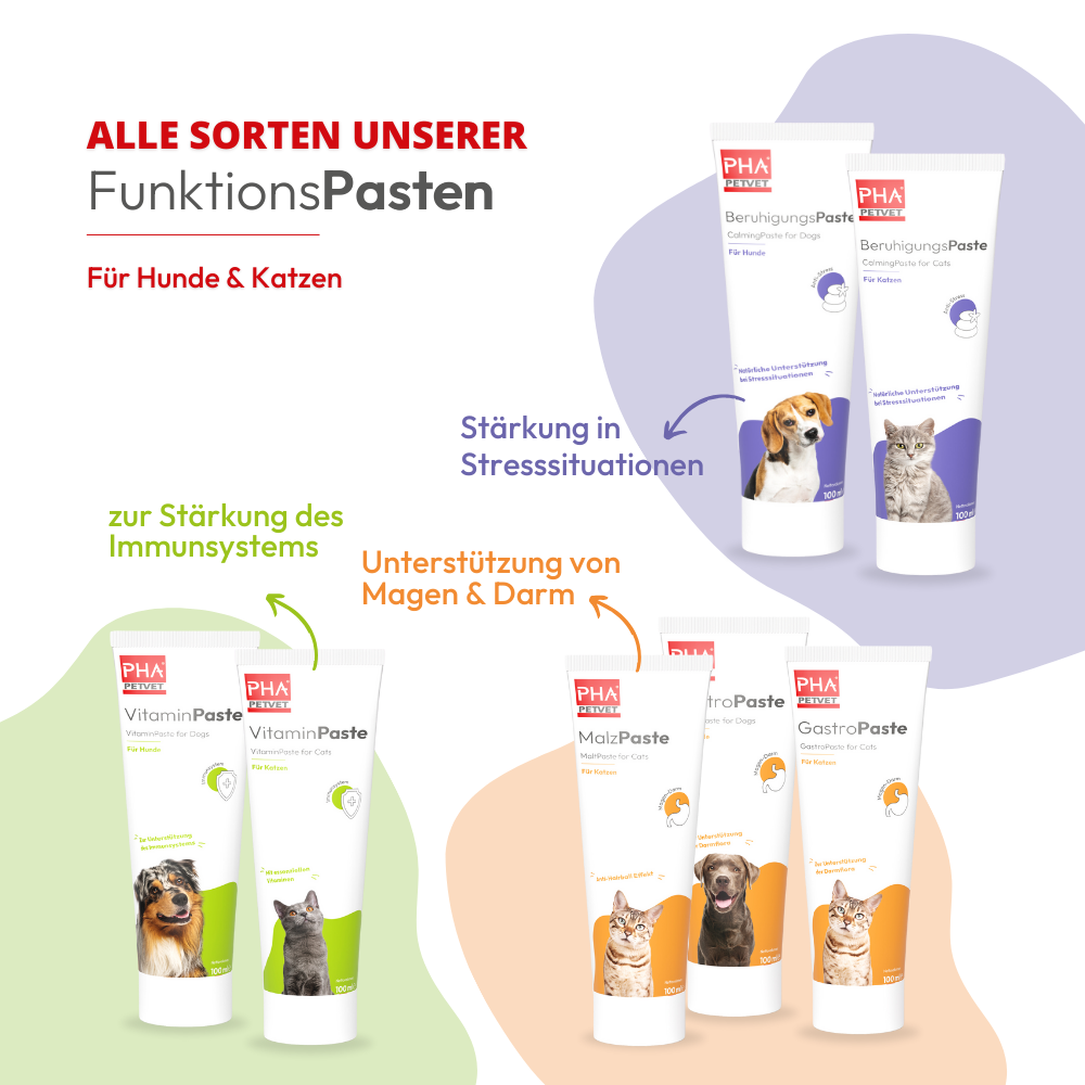 Kauartikel.com GmbH - Wholesale Pet Supplement - Dog - PHA calming paste for dogs 100ml (5 pieces)3