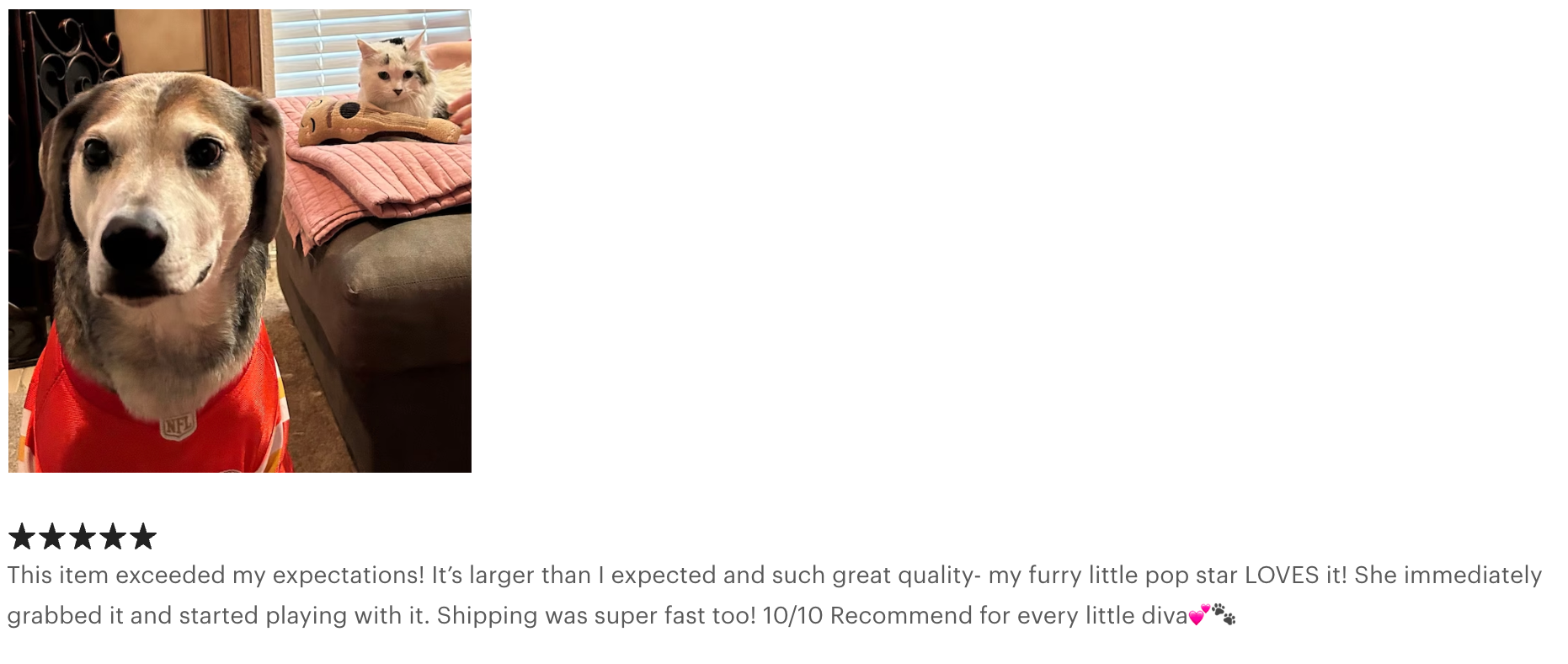 Screaming Pickles – wholesale Mjukisdjur - Hund – Handgjorda husdjursleksaker - Gitarrplysch leksak för hundar eller katter2