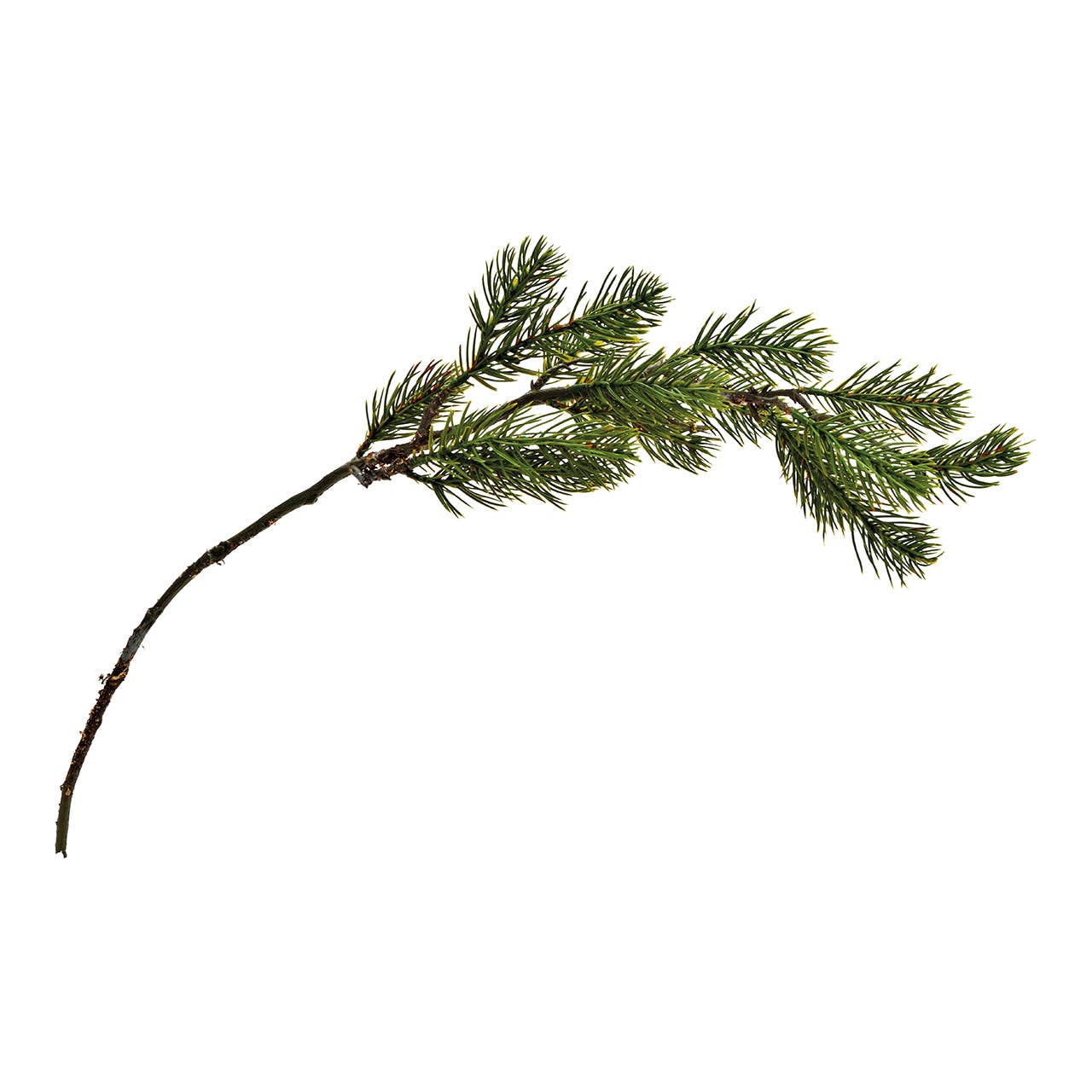 Wurm - Wholesale Kunstplant - Kunstbloem dennentak met mos van kunststof groen (H) 70cm0