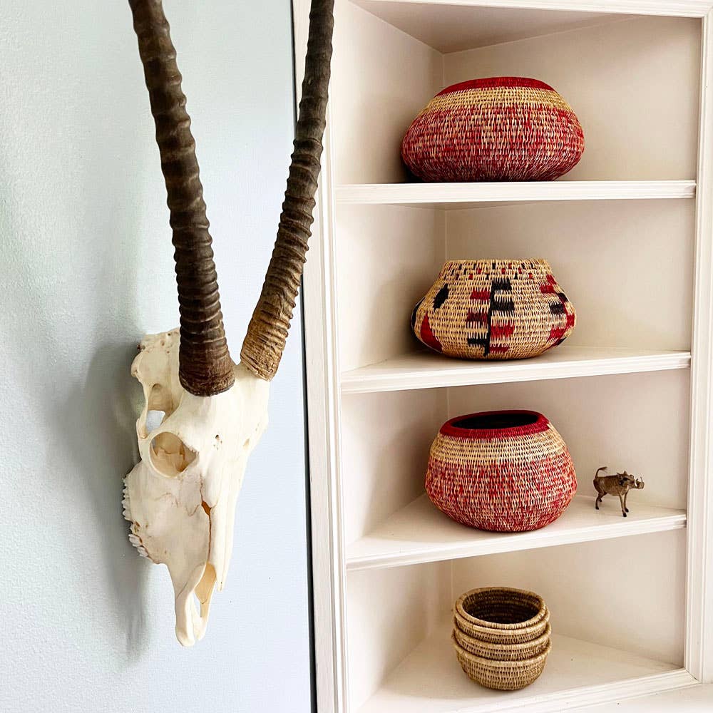 OUTPOST ORIGINAL - Wholesale Wall Accent - African Gemsbok Horn - Full Skull1