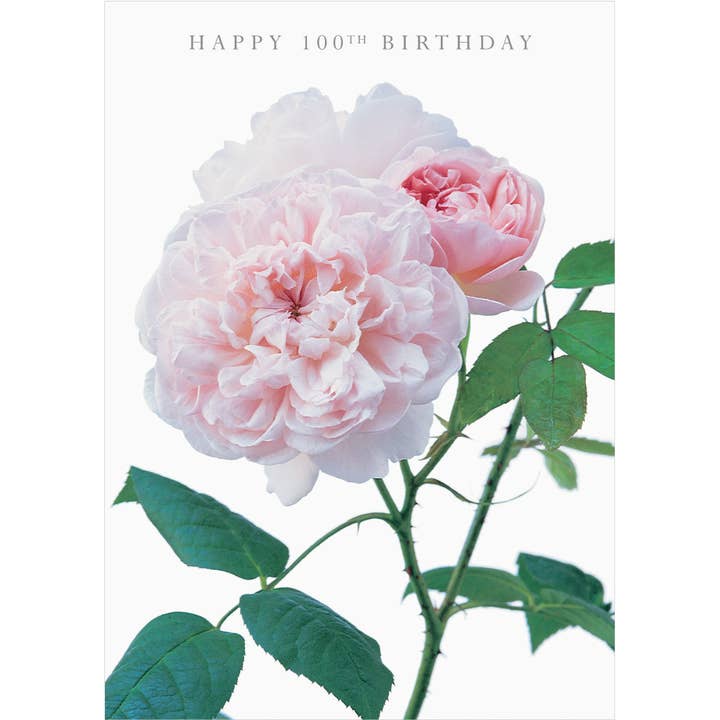 DA27 TILLYKKE MED DE 100 ÅR DUFTENDE KORT for engroshandel hos Dyson Design