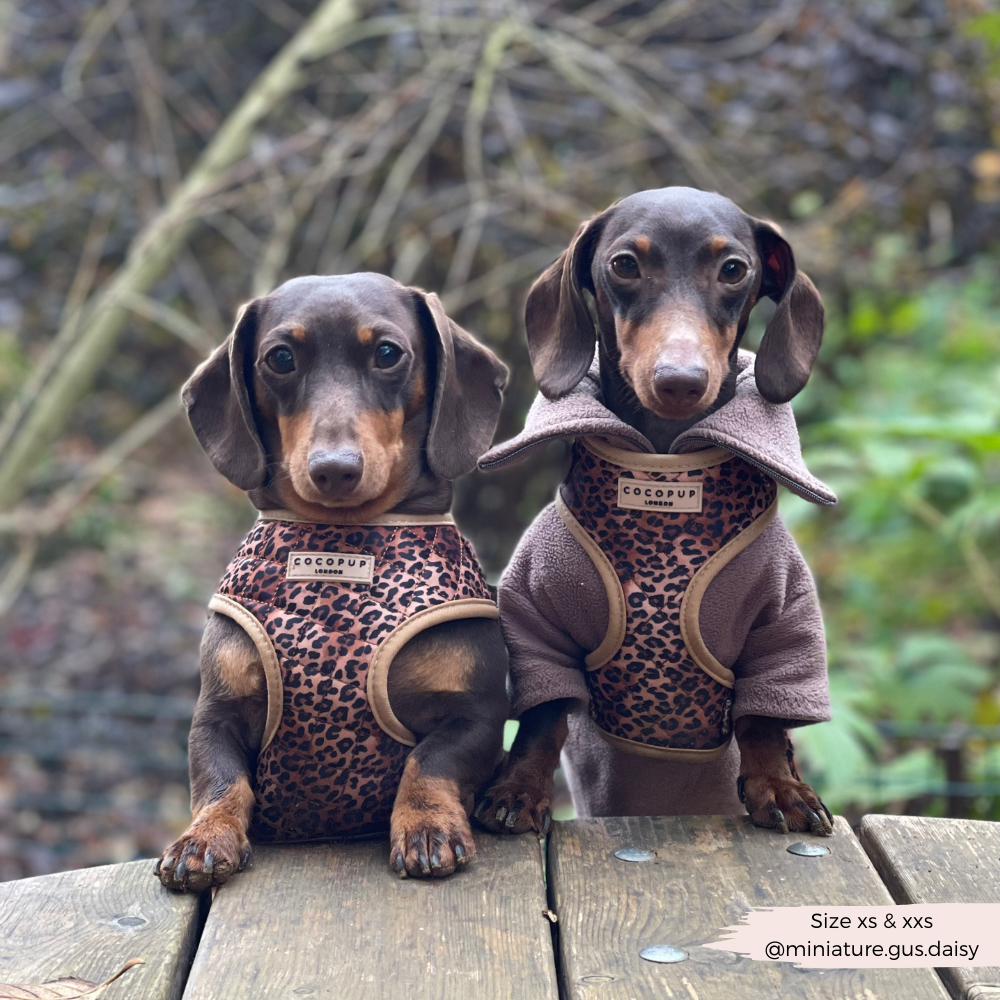 Cocopup London - Wholesale Pet Harness - Dog - Quilted Leopard Pup Adjustable Neck Harness39