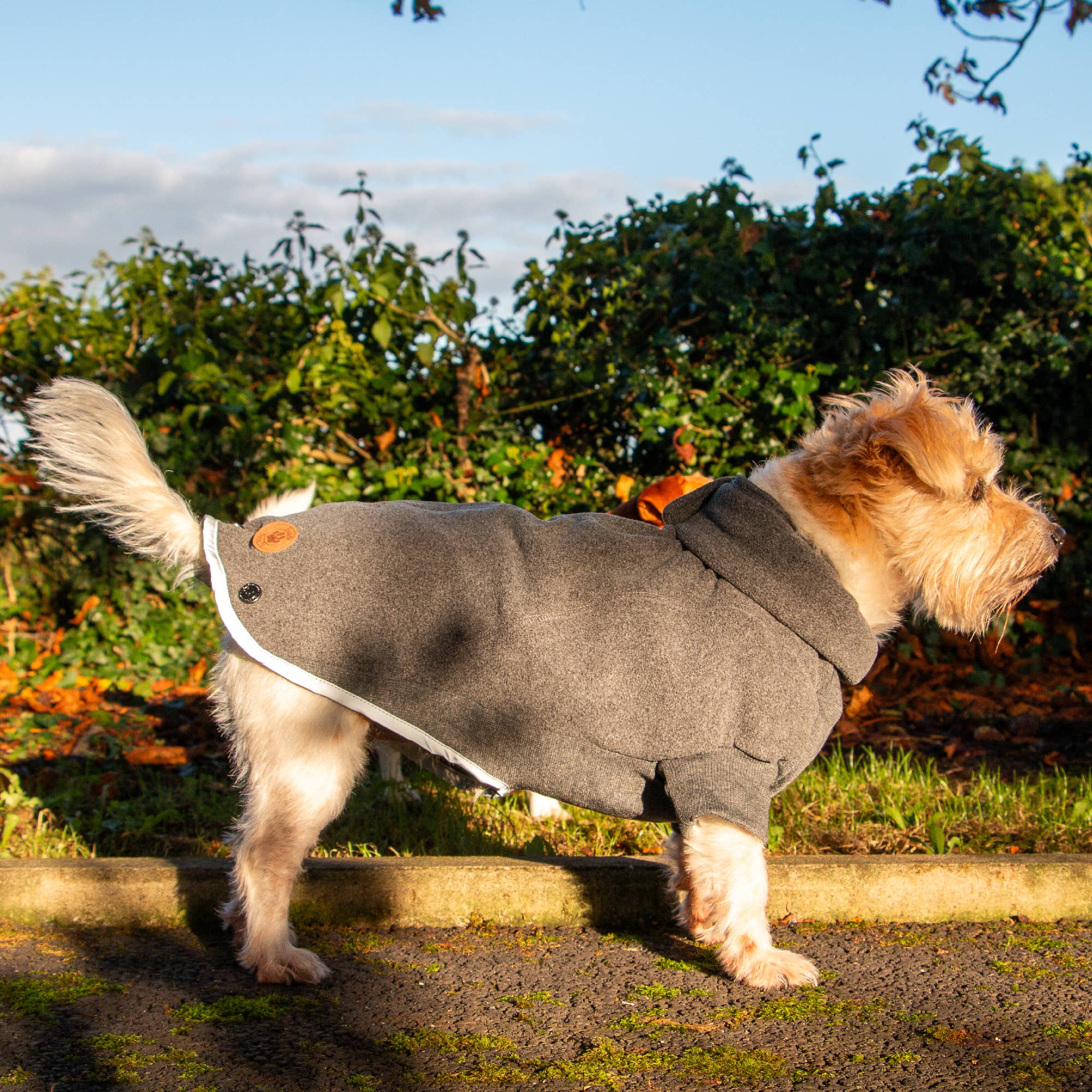 Ancol Pet Products Ltd - Wholesale Pet Coat - Dog - Polar Fleece Dog Jumper Grey5