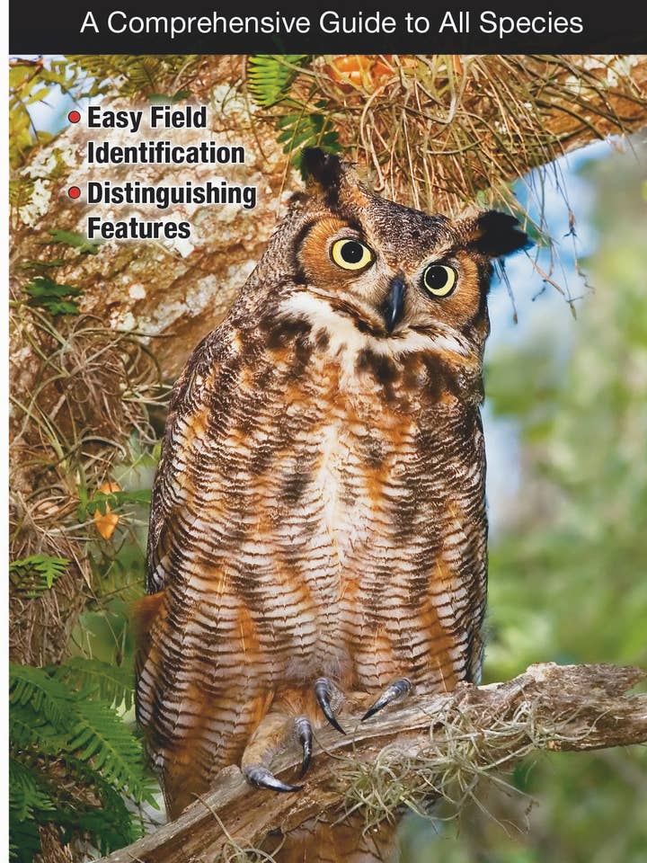 Owls of North America for wholesale by Quick Reference Publishing, Inc