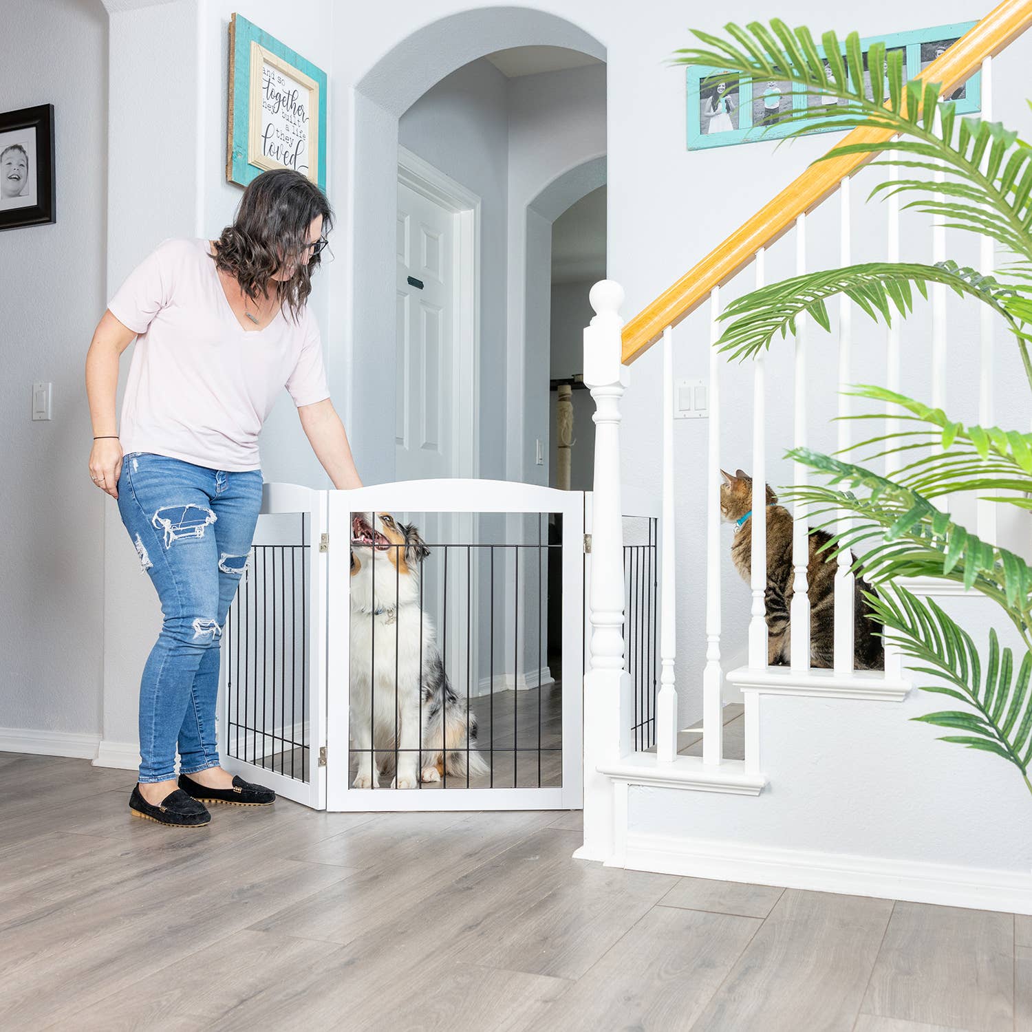 Primetime Petz - Vente Barrière portative pliable – chien - Kit de quincaillerie pour barrières murales autoportantes en bois pour animaux de compagnie9