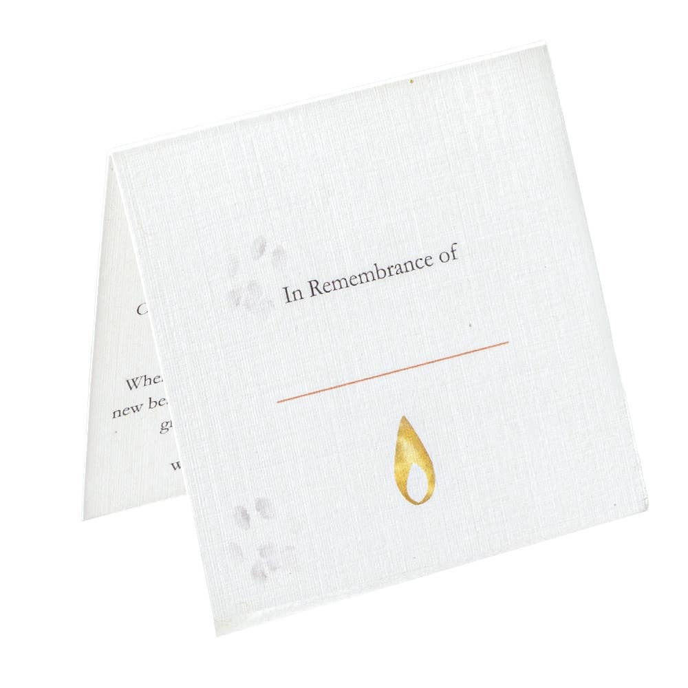 The AFTER Company - Wholesale Jar/Filled Candle - AFTER: Beloved Pet  |  Pet Loss Sympathy Gift3