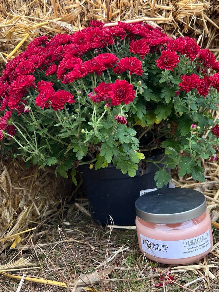 Litet 8oz sojavax ljus för wholesale av Paws and Reflect