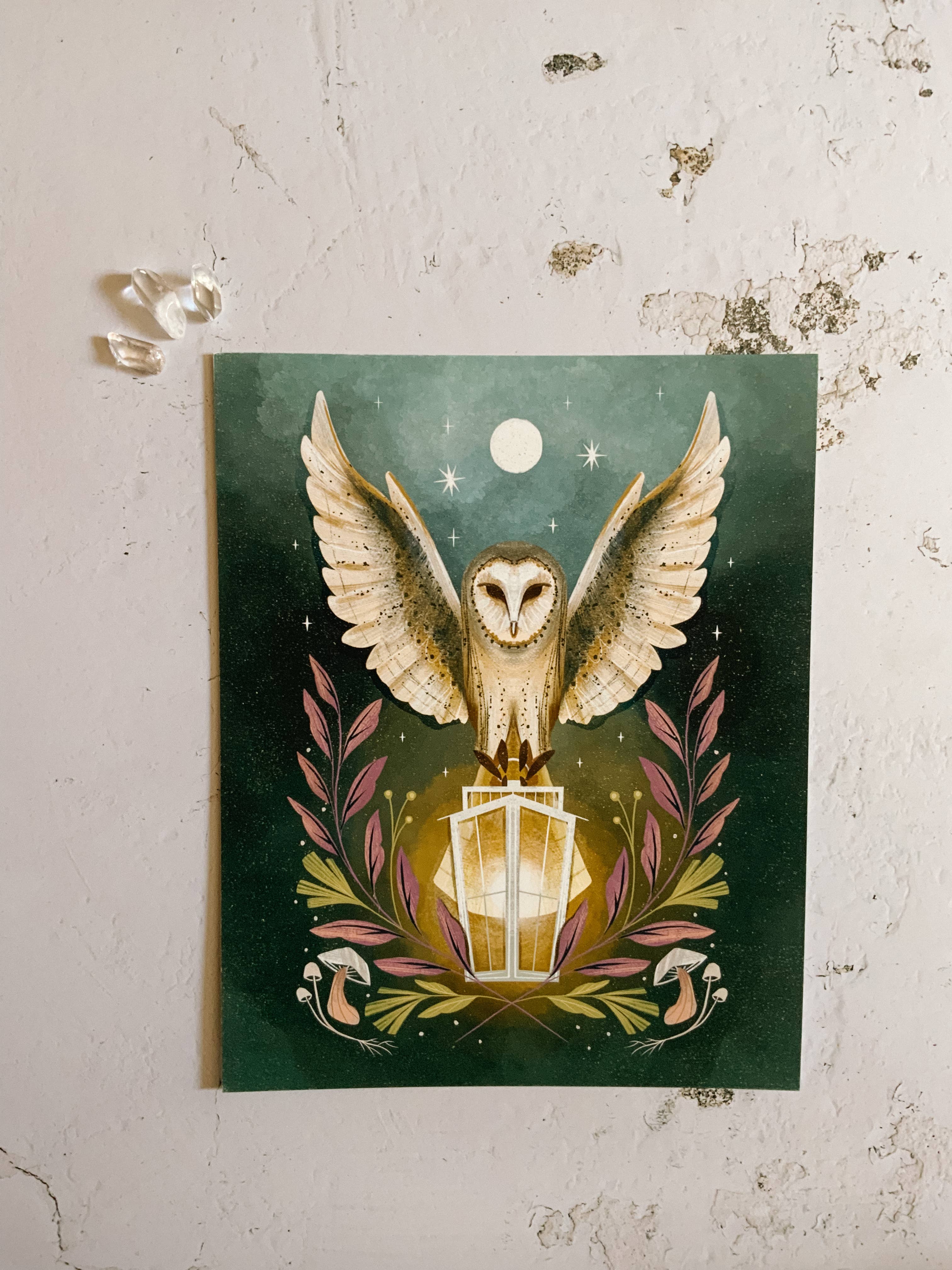 Lantern Print Co. - Wholesale Art Print - Art Print: Night Seer (owl); 5x7, 8x104