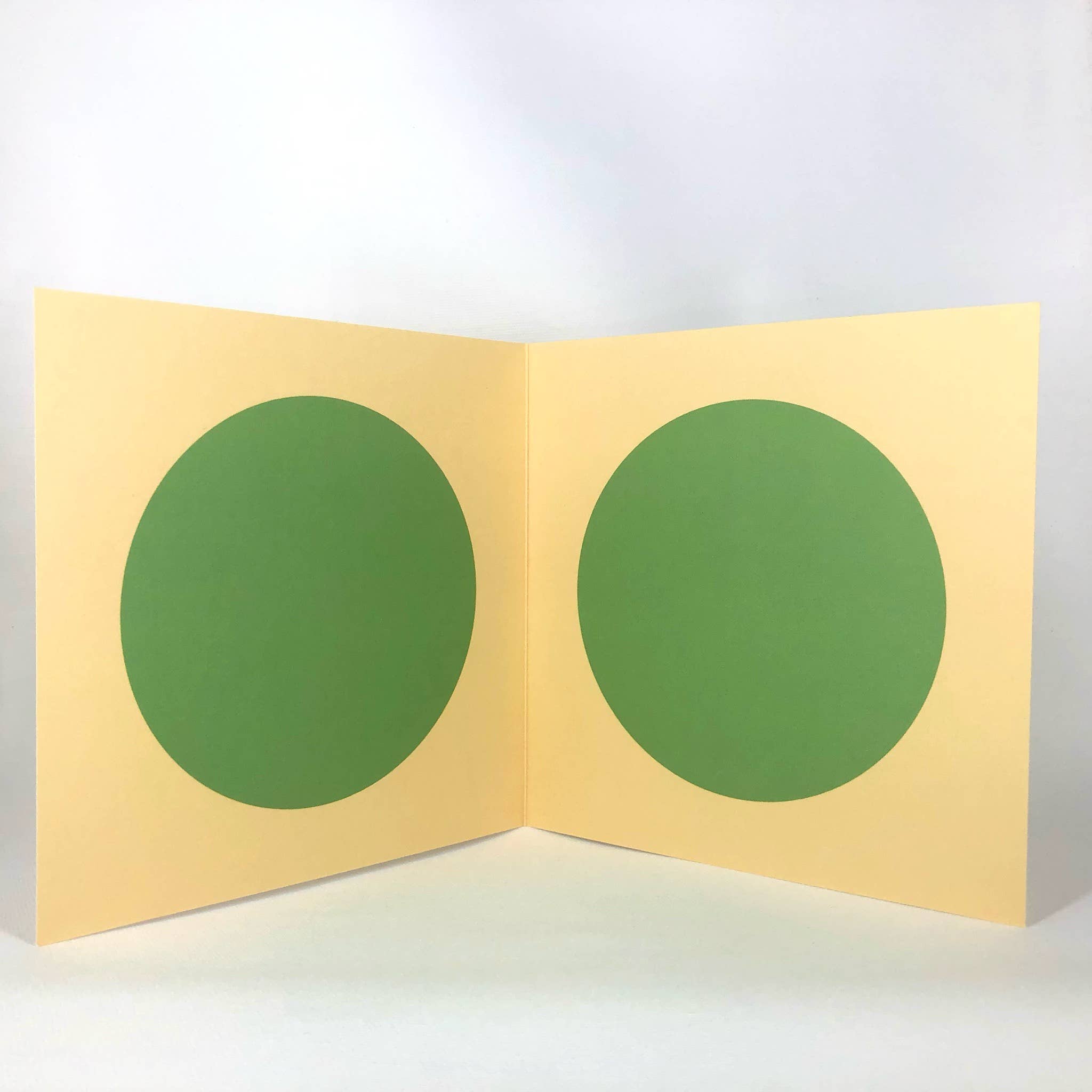 Diedododa – wholesale Everyday greeting card – Gouldian Finch Greeting Card3