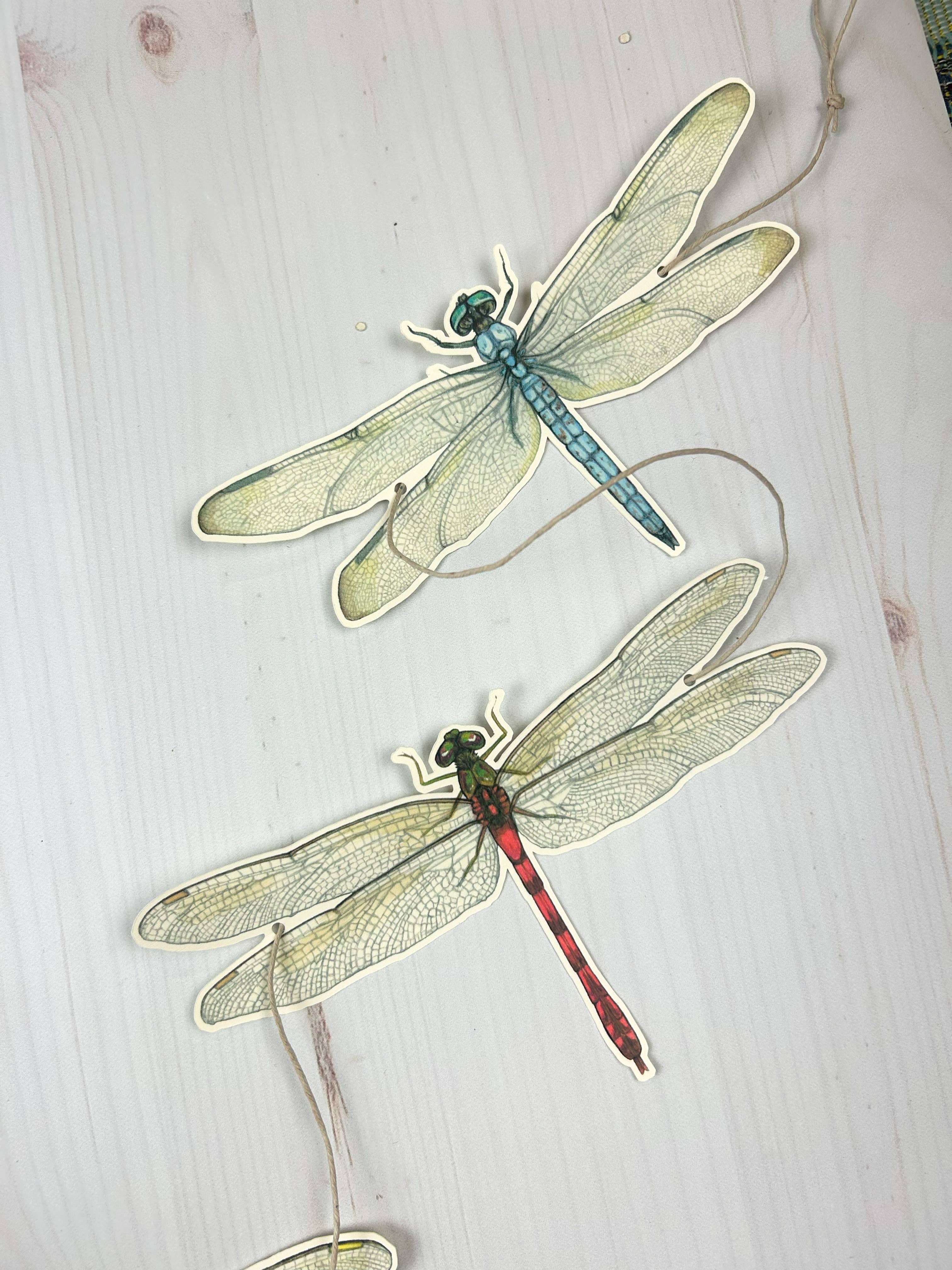Sarah Draws Things - Wholesale Bunting/Garland - Dragonfly Illustrated Garland 6