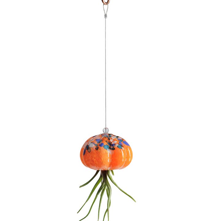 ApricotMint - Wholesale Hanging Planter - Cauliflower Jellyfish Air Plant Holder (plant not included)6