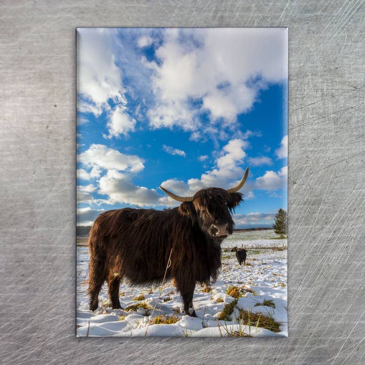 Fotomagnet eye7030, Hochformat für den Großhandel von eye-comm