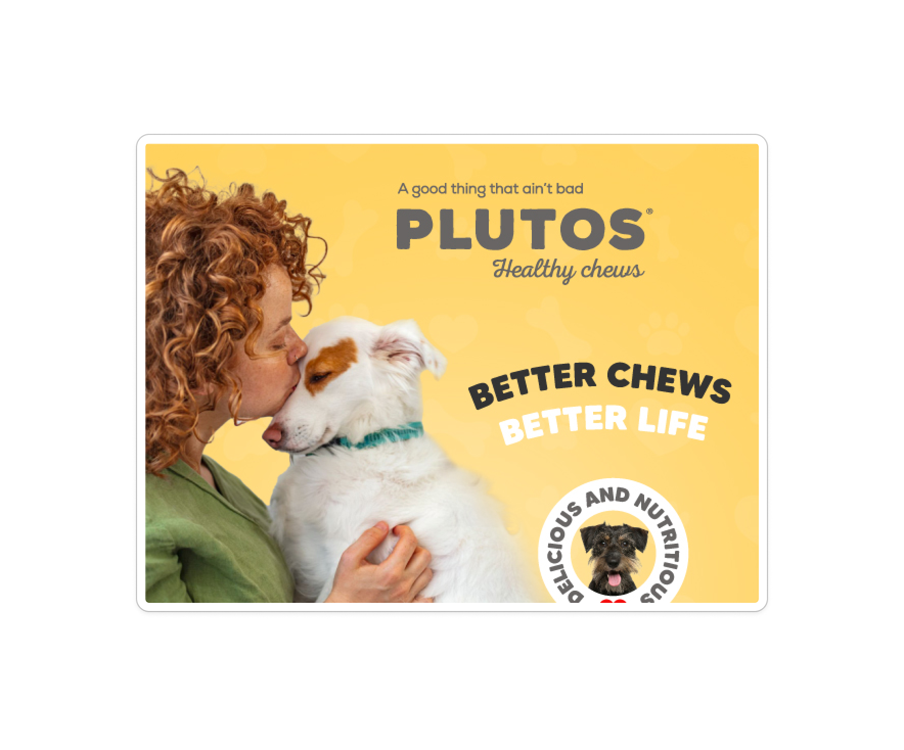 PLUTOS CHEWS - Wholesale Pet Treats - Dog - Dog Dental Chew Cheese & Chicken M (20)10