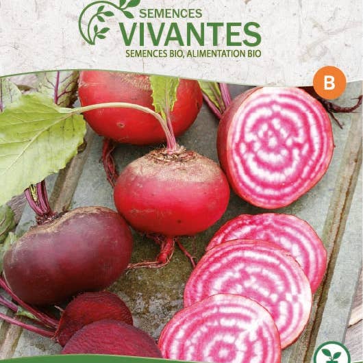 Semences Vivantes - Wholesale Plant Seeds - Organic chioggia beetroot - Bag of 250 seeds