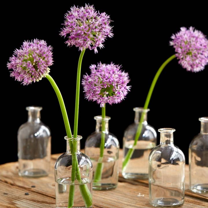 Jamali Garden - Wholesale Vase - Clear Medicine Bottle Bud Vase2