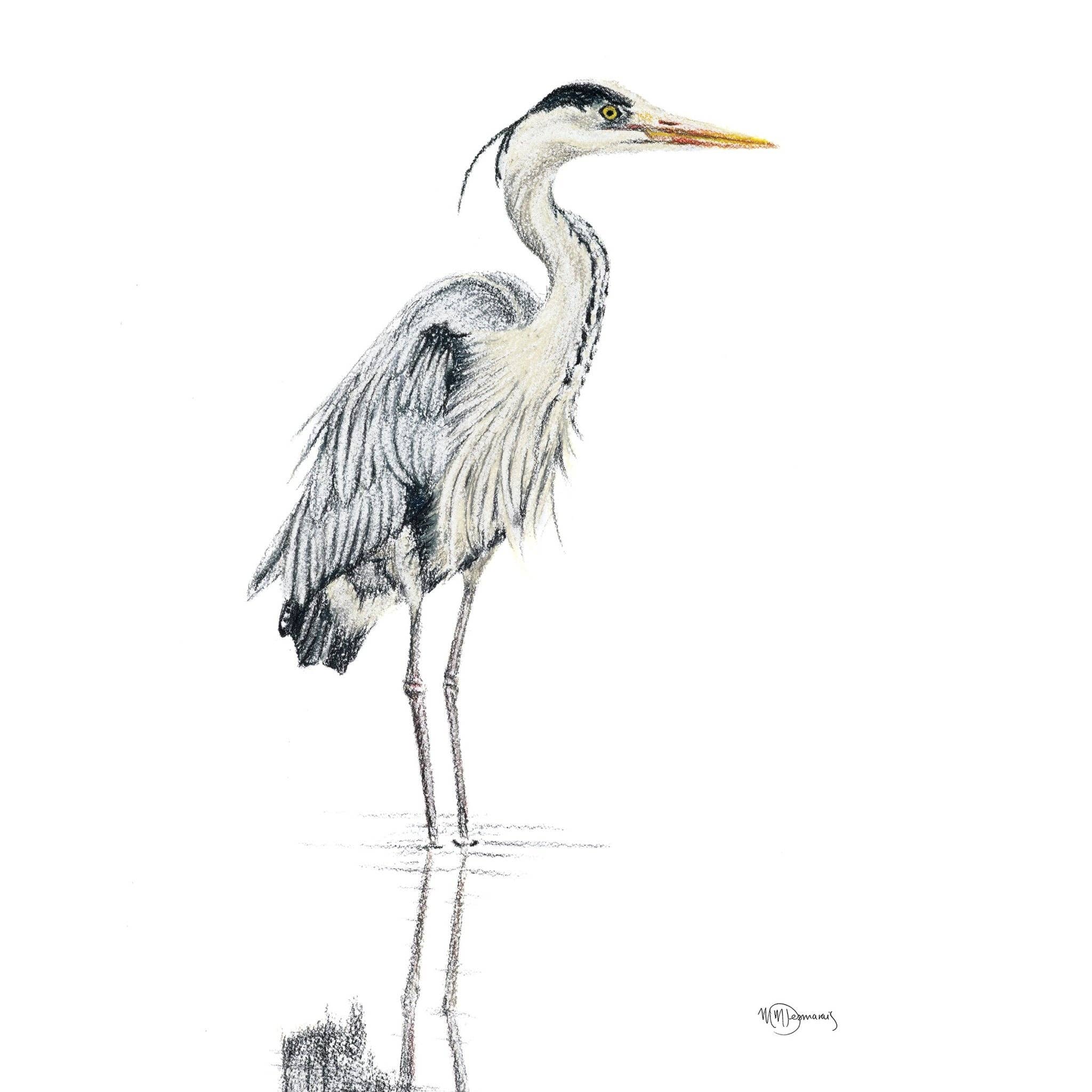 LE NID atelier - Wholesale Art Print - Heron NO 1 - Colored Blue Heron in water illustration1