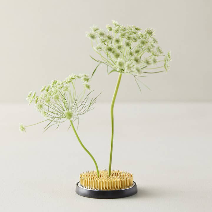 Wildflowers by Floriette - Wholesale Decorating Tool - Stylish Floral Presentation - Kenzan Flower Pins