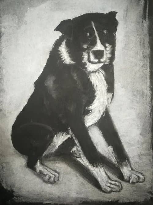 United Petdom Collection pillowcase for wholesale by J-Art