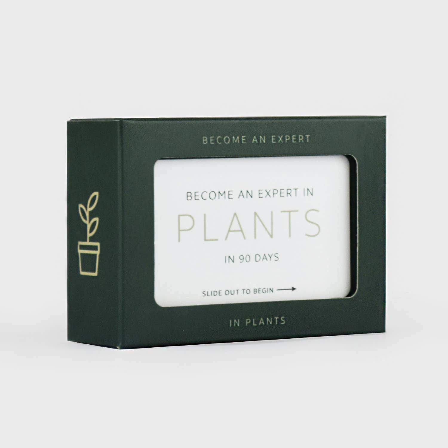 Pikkii – wholesale Plant seeds – Become an Expert in Plants in 90 Days Slide Box | Plant Gift1