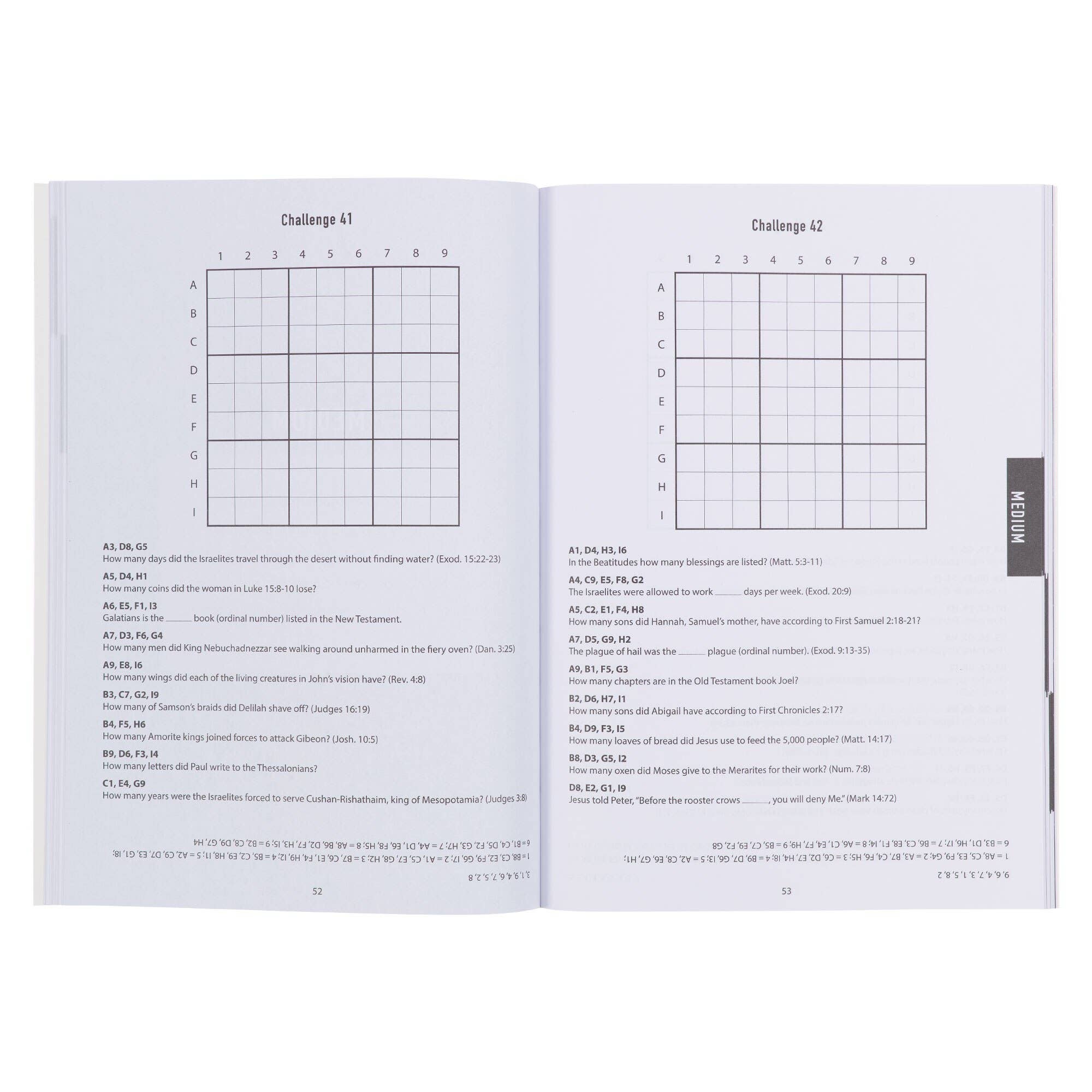 Christian Art Gifts - Wholesale Coloring & Activity Book - Adult - Bible Sudoku2