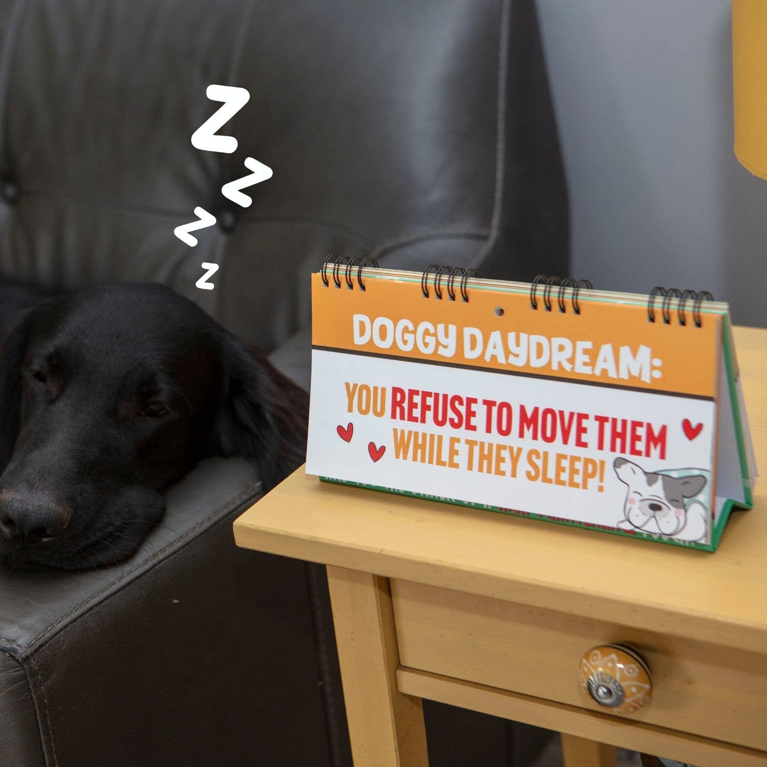 Boxer Gifts - Vente Animaux - 50 façons de gâter votre chien Flip Book - Cadeaux pour chiens4