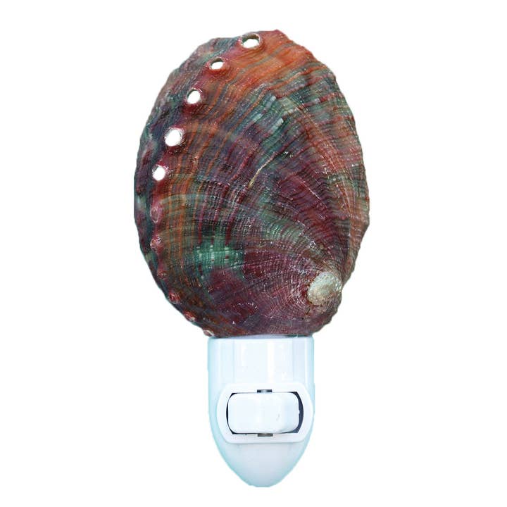 Threaded Abalone Seashell Night Light for wholesale by California Seashell Company