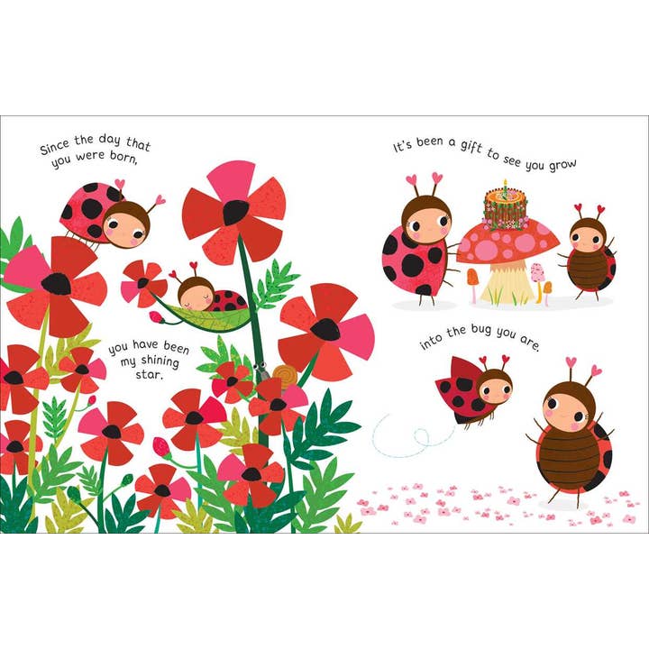 Simon & Schuster - Wholesale Baby & Toddler Book (0-2) - I Love You, My Cuddle Bug by Nicola Edwards4