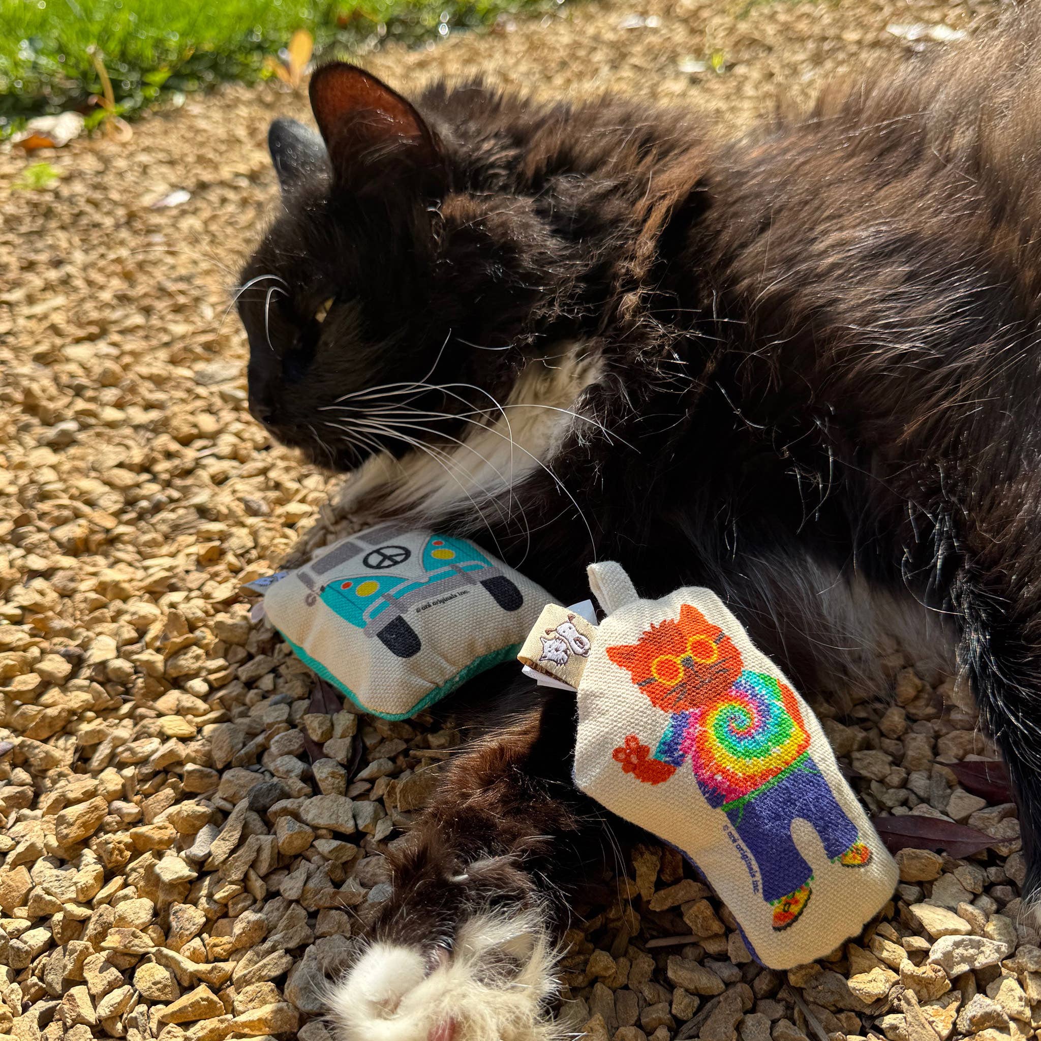 Speckle and Spot by Ore’ Originals - Wholesale Pet Toy Set - Cat - Go Kitty Go Cat Toy Set | Hippie Kitty4