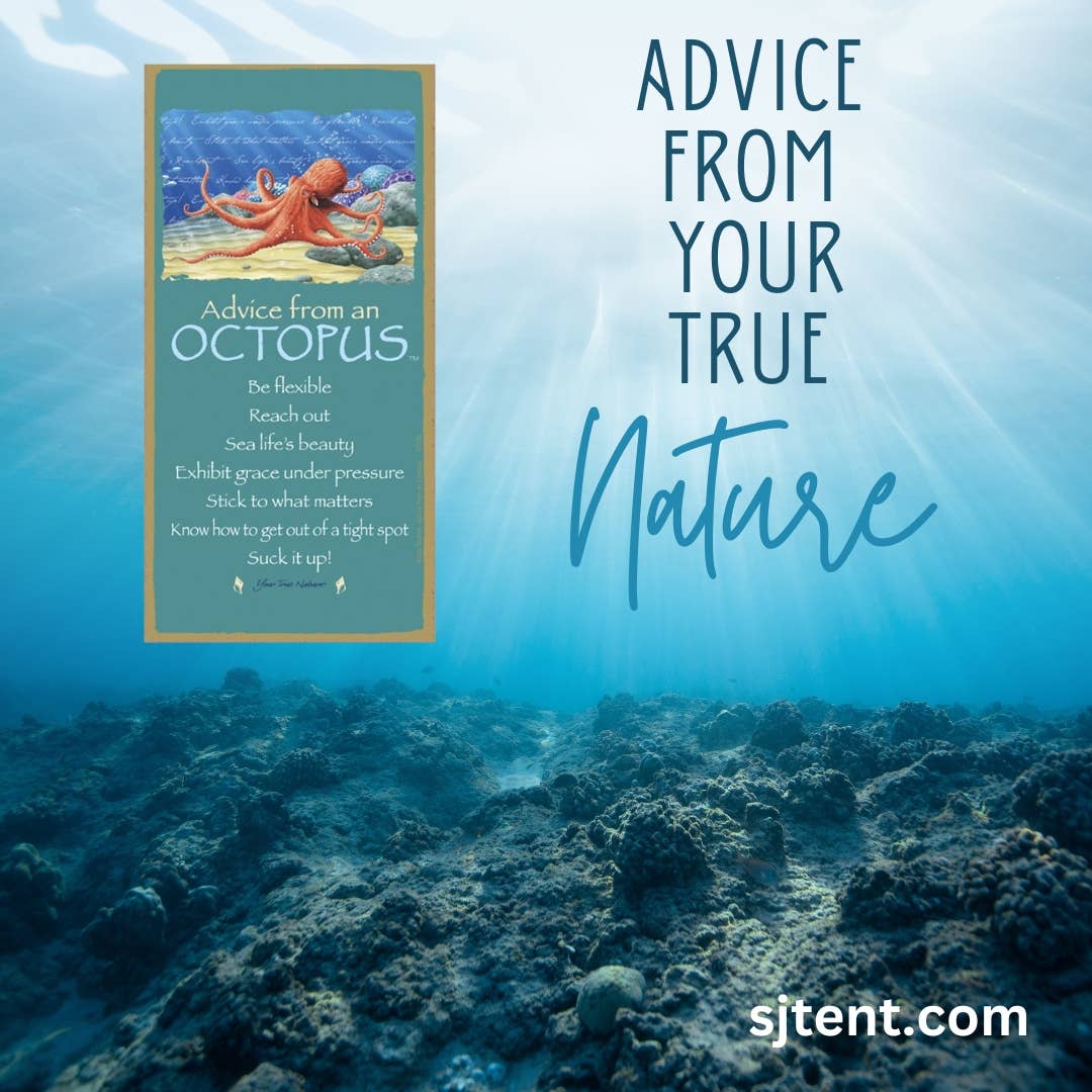 SJT Enterprises, Inc. - Wholesale Sticker - Sea turtle swimming with bubbles, coral, and fish2