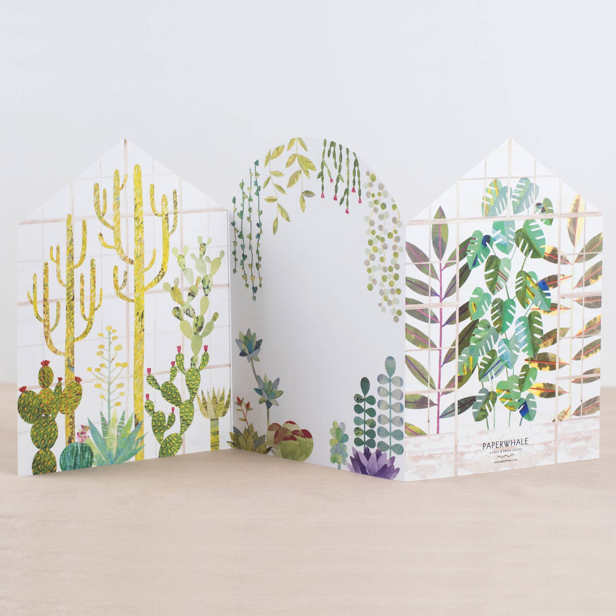 Paperwhale Cards & Paper Goods – wholesale Everyday greeting card – Glasshouse Concertina Card2