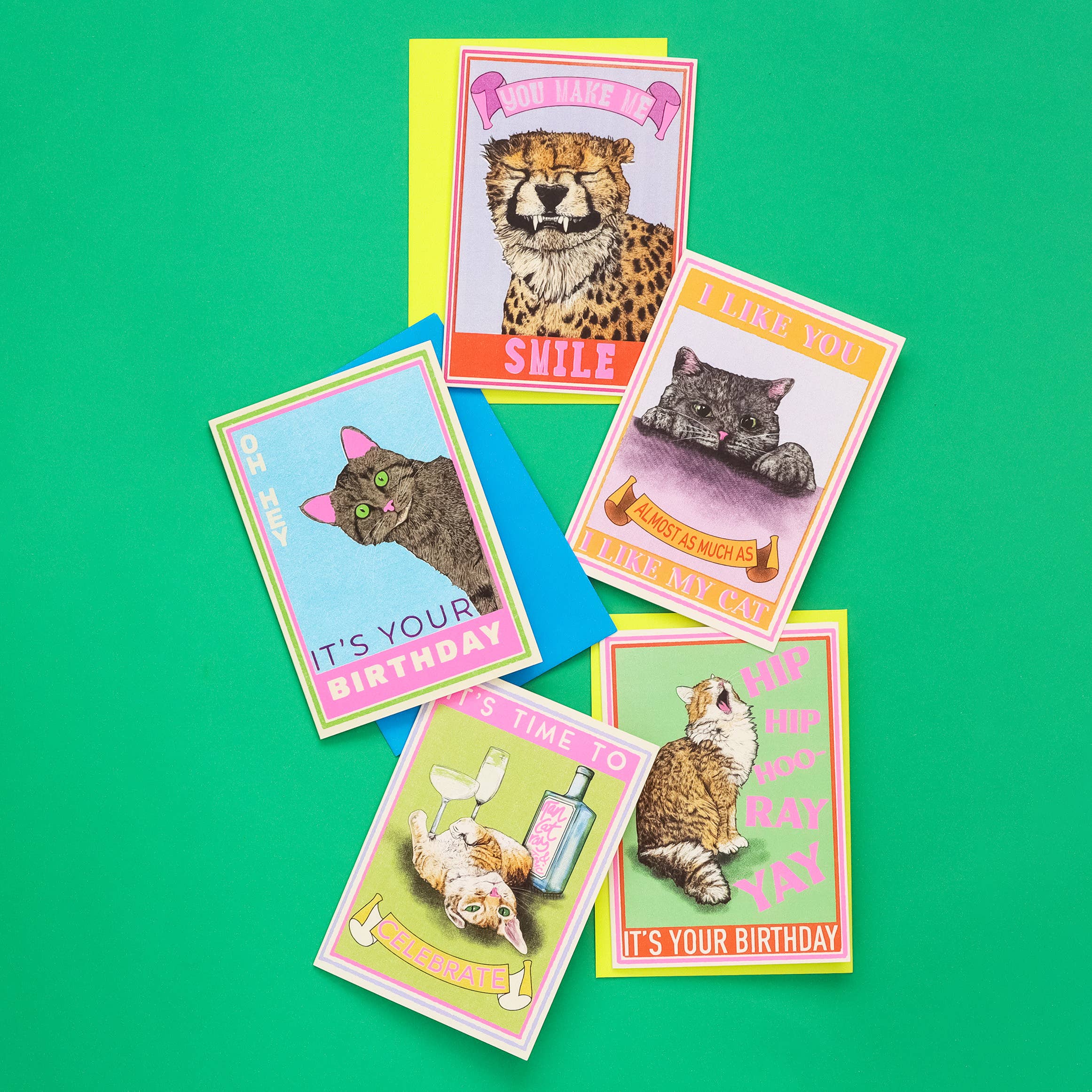 Fawn & Thistle Ltd (US Duties Paid) – postal de parabéns por atacado – Cartão de Aniversário Hip Hip Hooray com Gato | Cartão de Parabéns4