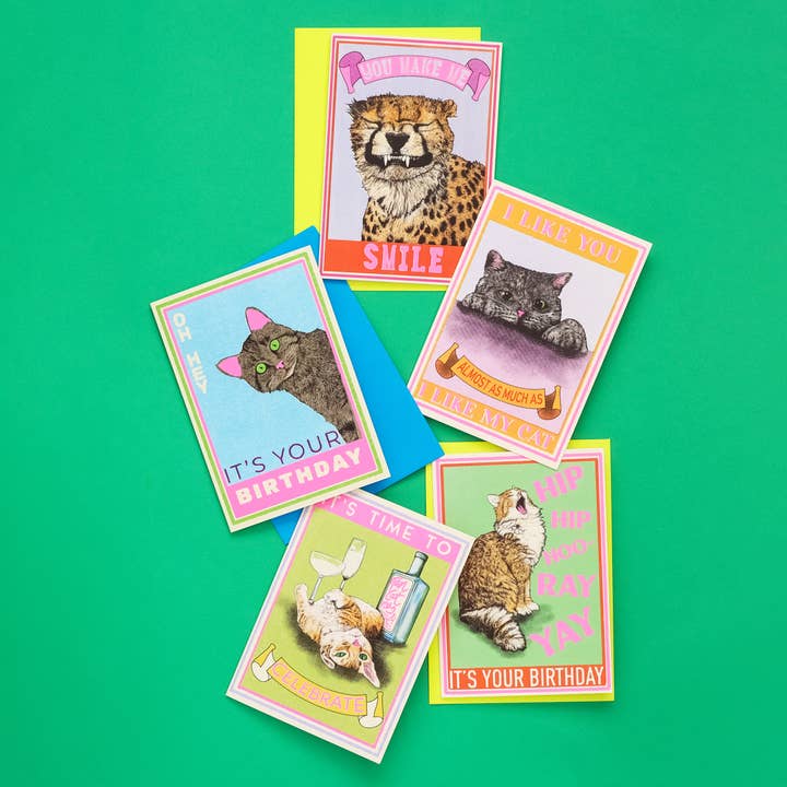 Fawn & Thistle Ltd (US Duties Paid) – postal de parabéns por atacado – Cartão de Aniversário Hip Hip Hooray com Gato | Cartão de Parabéns4