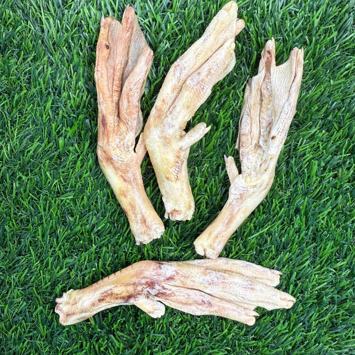 Golden Nibbles - Wholesale Pet Treats - Dog - Duck Feet - Freeze-Dried Treat/Chew for Dogs2