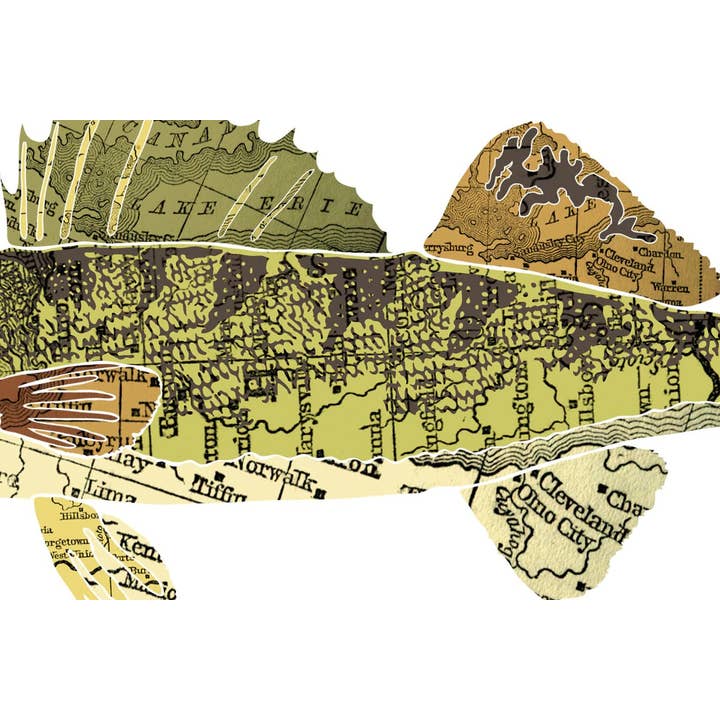 Wooden Pencil Company - Wholesale Art Print - Ohio State Fish, Map Art - Walleye