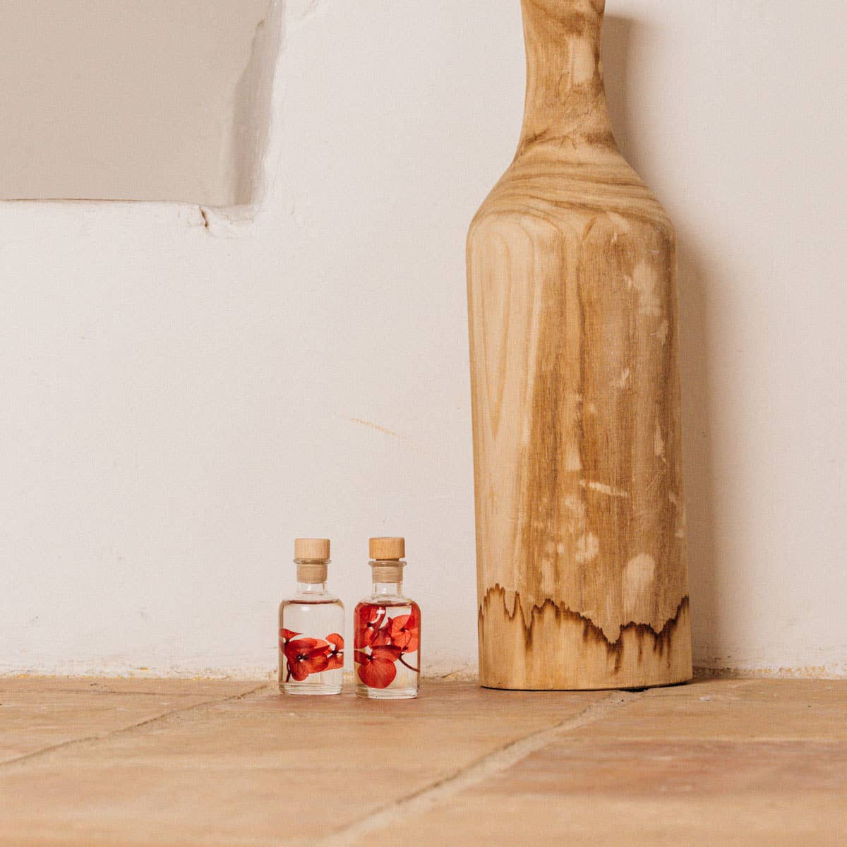 Theophile Berthon - Vente Plante - L'Herbarium Hortensia rouge Passion éternel4