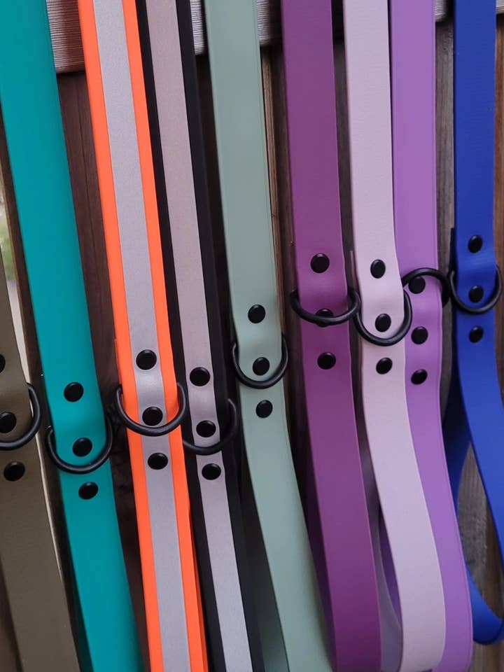 Standard BioThane leash/1inch/dog leash/5 feet/handmade for wholesale by Cain's Collars