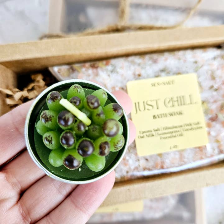 Lux&Lou - Wholesale Bath & Body Set - Just Chill Bath Salt & Succulent Candle Gift Set Bath Soak