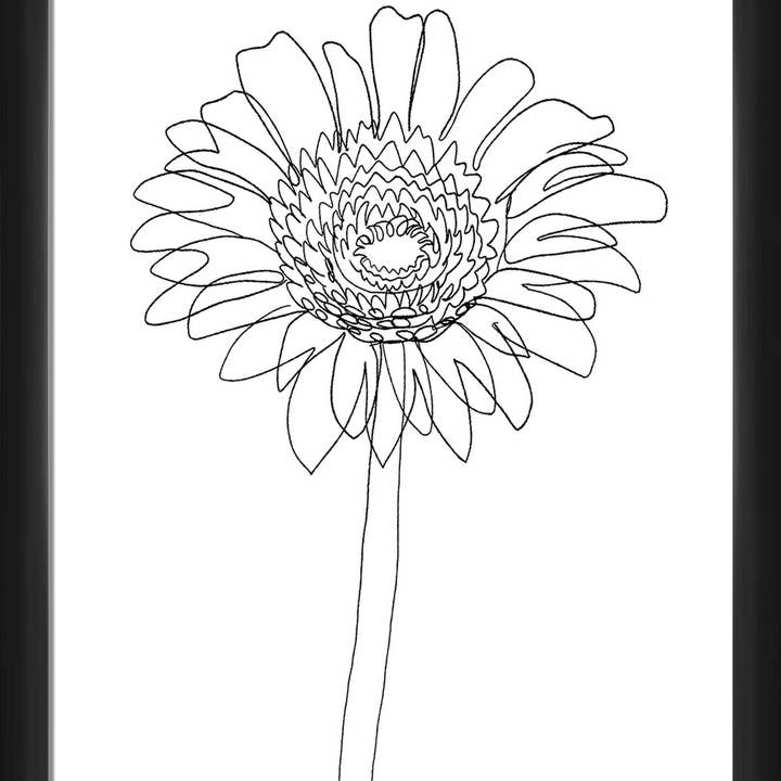 Dessin au trait #33 Décoration murale encadrée 20 po x 18 po pour la vente par PTM Images