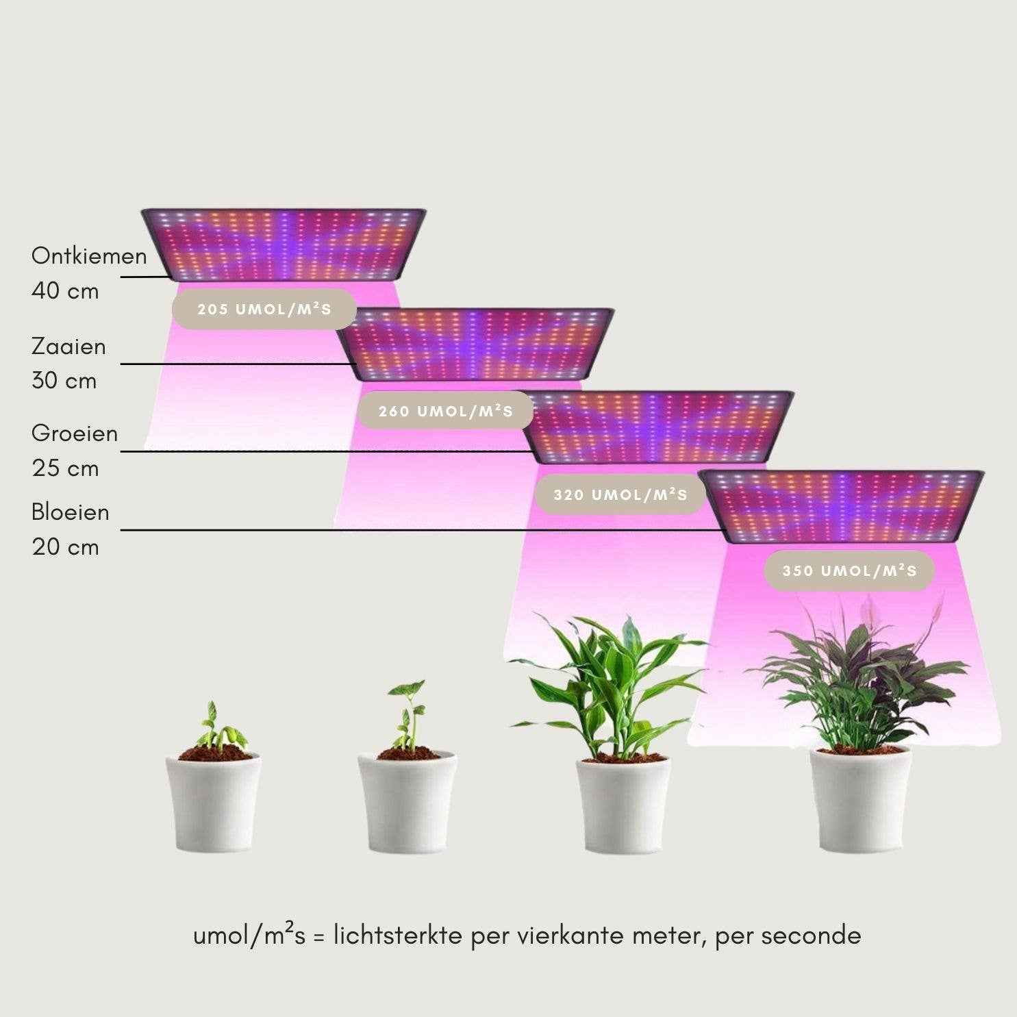 a sunny day - Wholesale Chandelier/Hanging Light - LED full spectrum grow lamp - 30x30 cm3