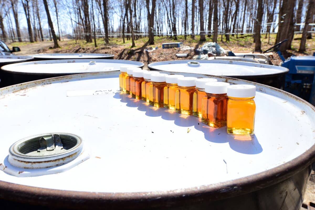 Maple Valley Cooperative - Vente Sirops d'érable - Sirop d'érable biologique ambré et riche verre plat 8 oz7