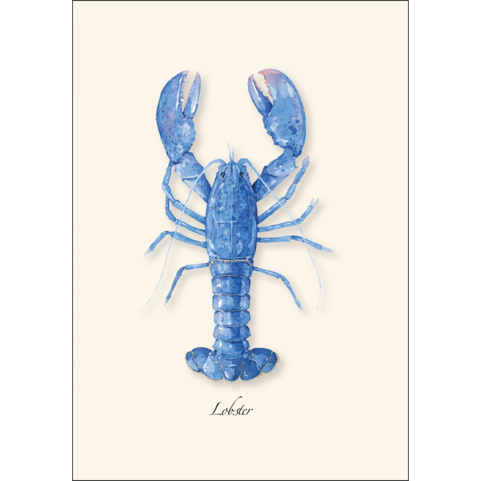 Earth Sky + Water - Wholesale Stationery/Notecard Set - Lobster Assortment1
