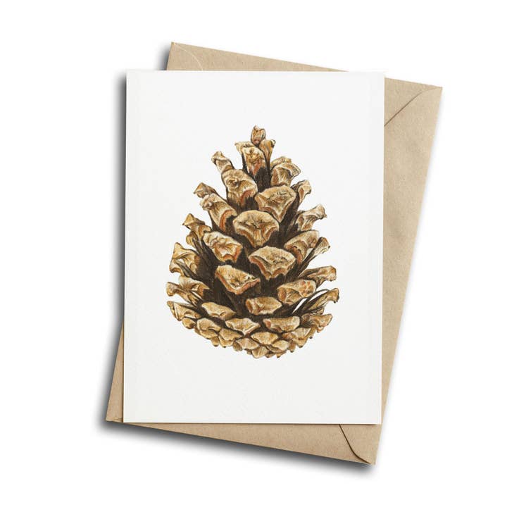 Hayley Wilson - Wholesale Everyday greeting card - Pinecone - Greeting Card