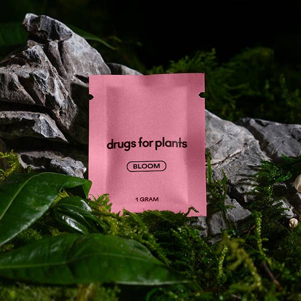 1G Bag (Bloom) for wholesale by Drugs for Plants