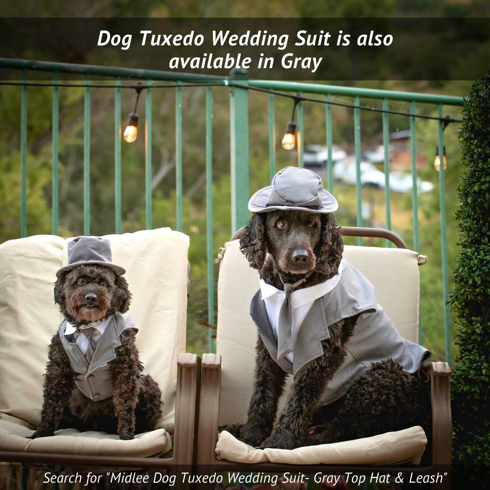 Midlee Designs - Wholesale Pet Costume - Dog - Midlee Dog Tuxedo Wedding Suit- Black6