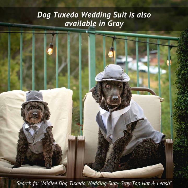Midlee Designs - Wholesale Pet Costume - Dog - Midlee Dog Tuxedo Wedding Suit- Black6