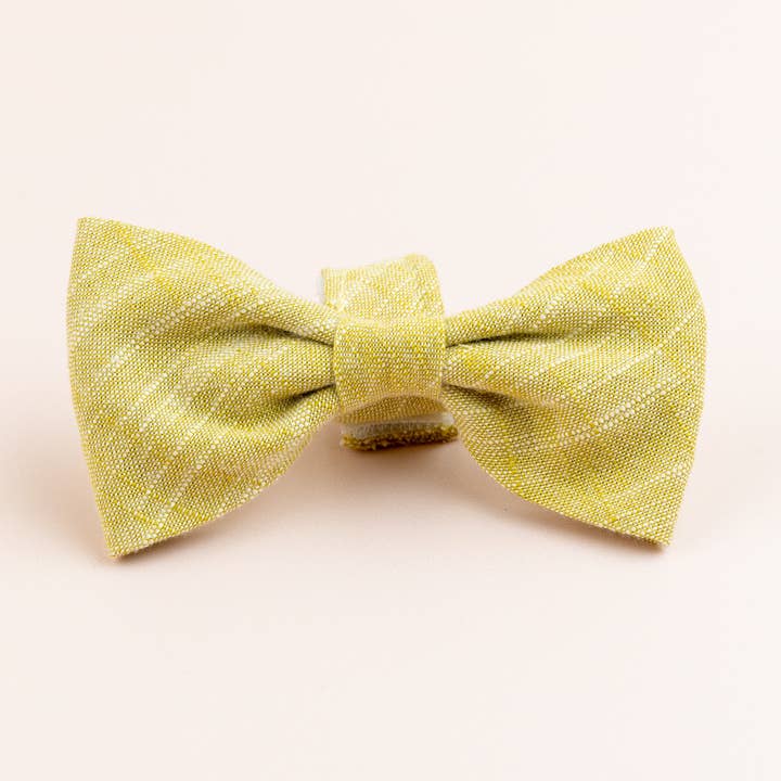 'Kiwi' Dog Bowtie for wholesale by Maple & Paws