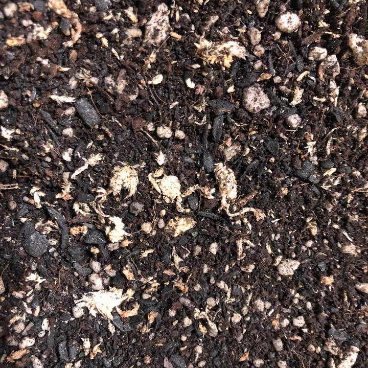 Rooting For You Plant Nursery - Wholesale Planting/Potting Soil - TERRARIUM Premium Potting Mix6