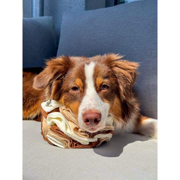 Doggotique - Wholesale Pet Squeaky Toy - Dog - Snuffle ball for dogs, snack toy dog, dog toy12