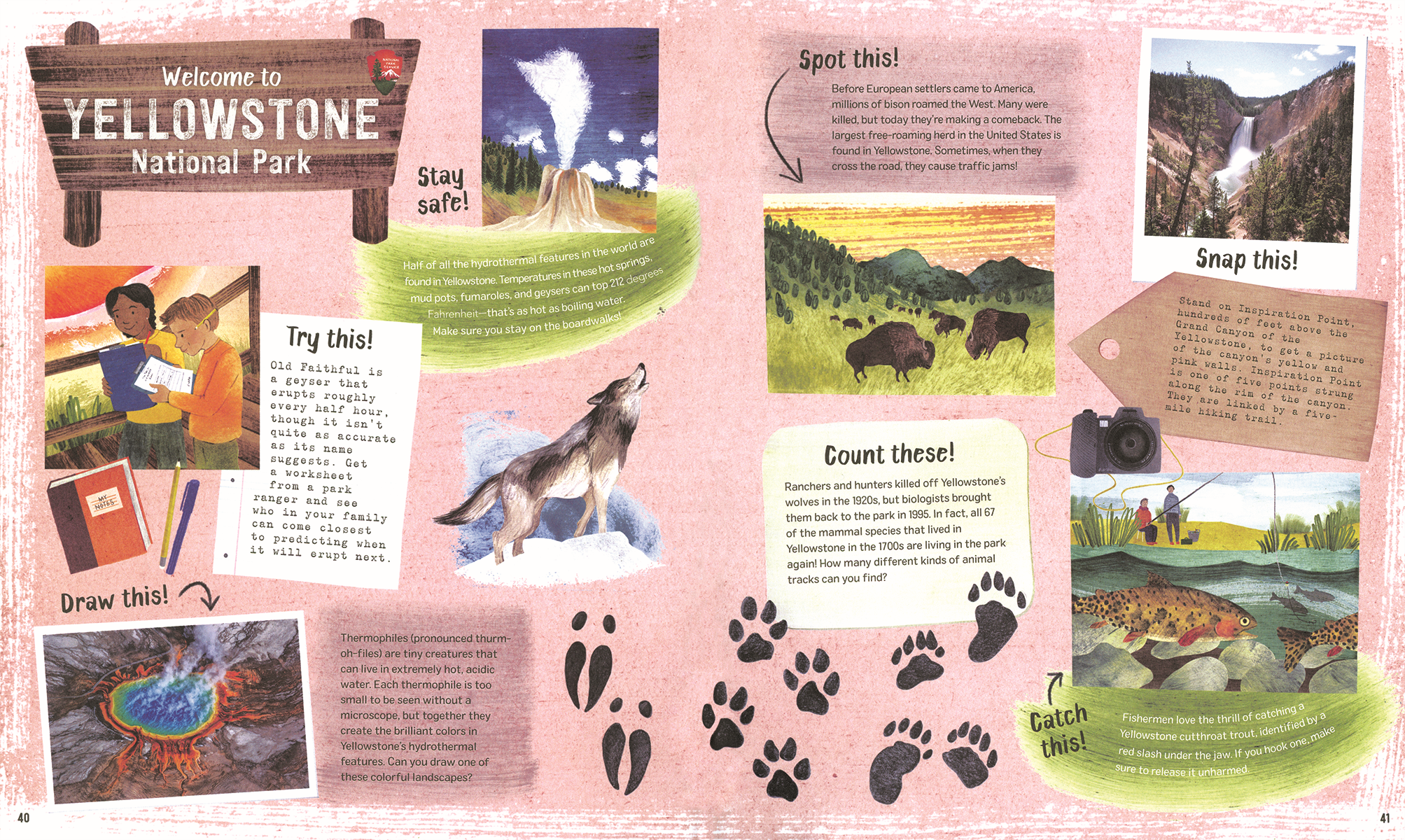 EDC Publishing - Wholesale Early Reader Book (6-8) - Explore! America's National Parks7