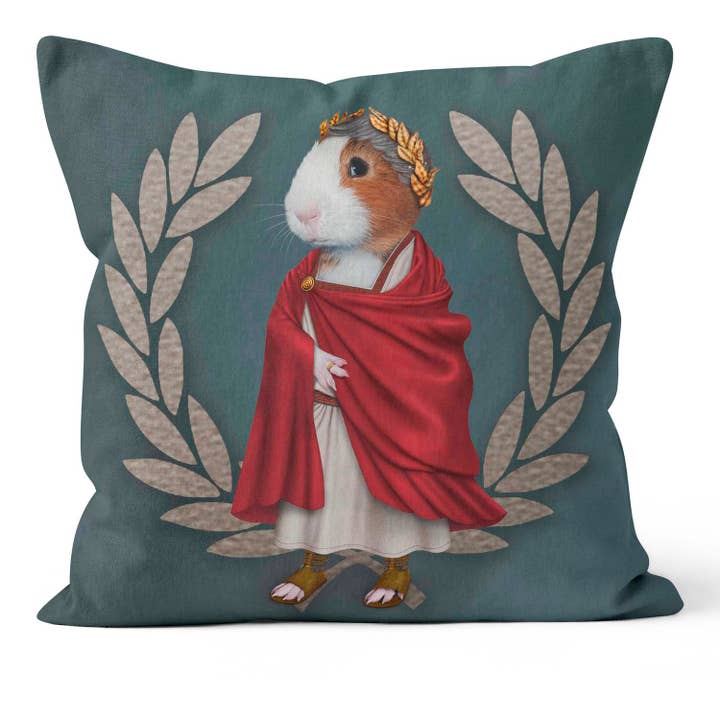 ART CUSHIONS – wholesale Throw/decorative pillow – Hail Caesar - Pets Rock Cushion Cover Only2